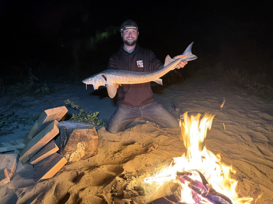 Lake Sturgeon