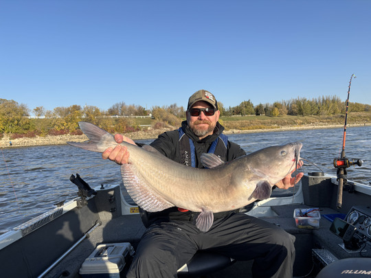 Channel Catfish