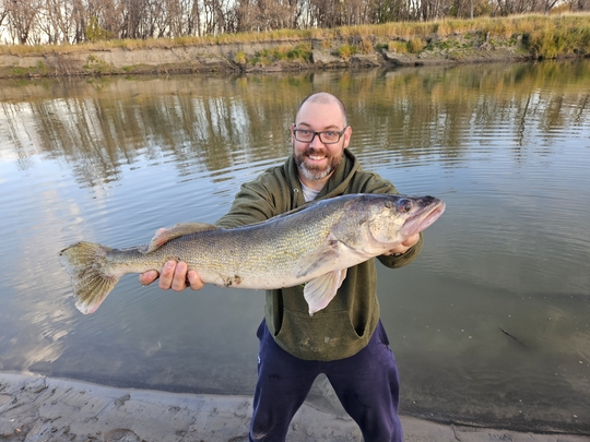 Walleye