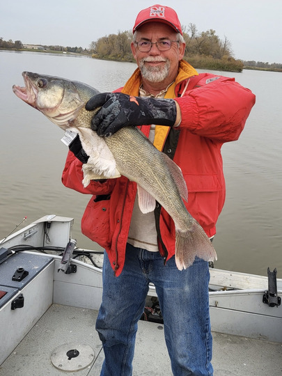 Walleye