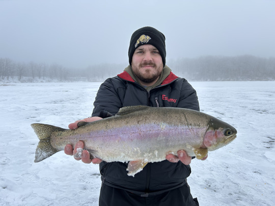 Rainbow Trout