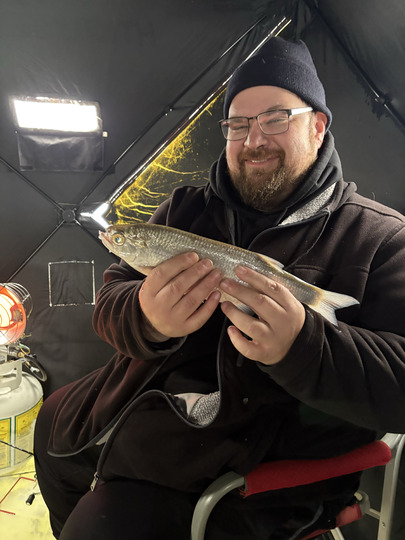 Goldeye