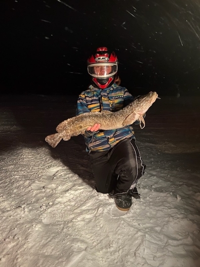 Burbot