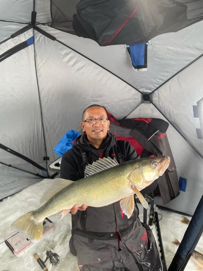 Walleye