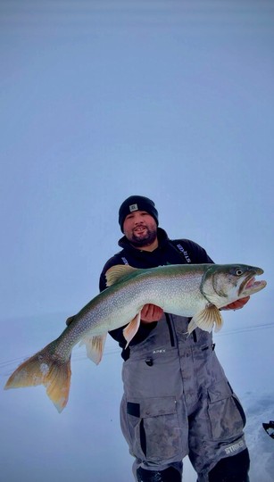 Lake Trout