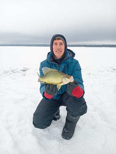 Black Crappie