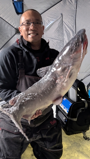 Channel Catfish