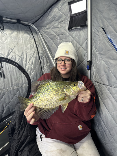 Black Crappie