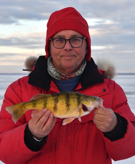 Yellow Perch