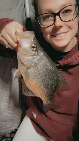 Black Crappie