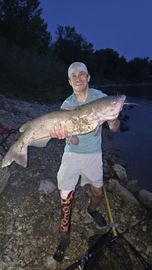 Channel Catfish