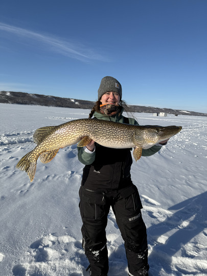 Northern Pike