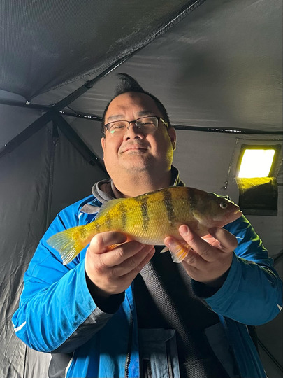 Yellow Perch