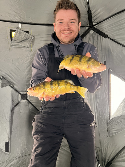 Yellow Perch