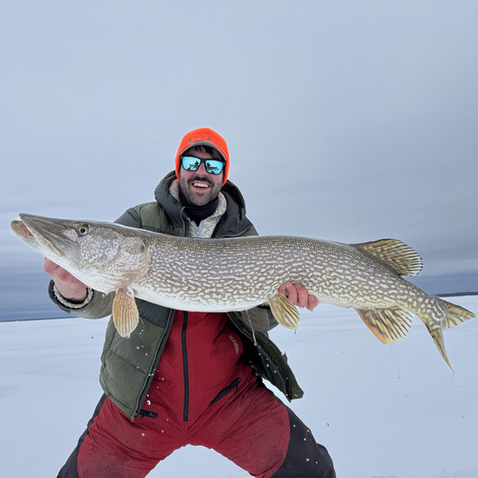 Northern Pike