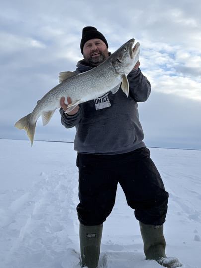 Lake Trout