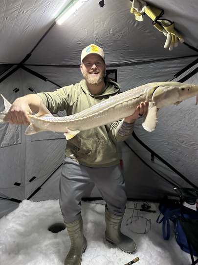 Lake Sturgeon