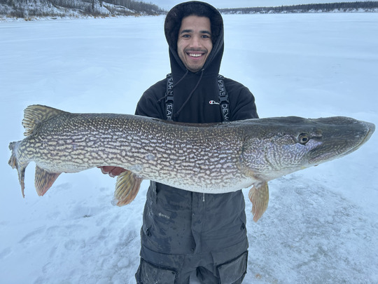 Northern Pike