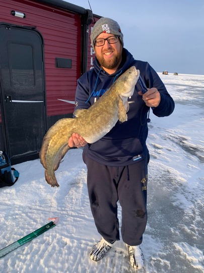 Burbot