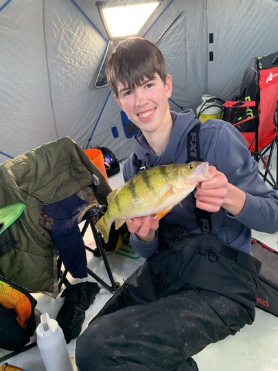 Yellow Perch