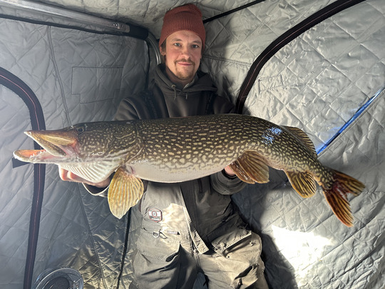 Northern Pike