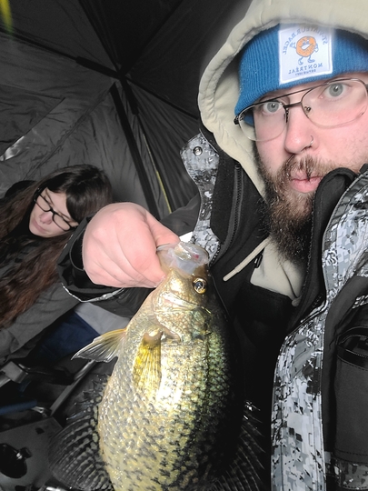 Black Crappie
