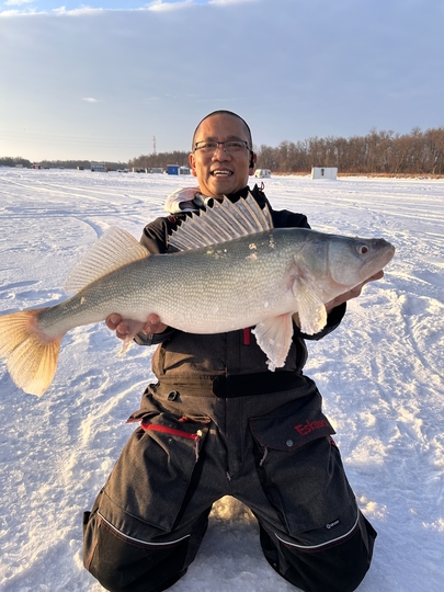 Walleye