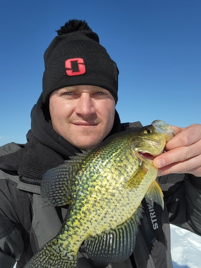 Black Crappie