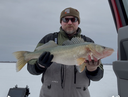 Walleye