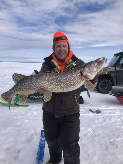 Northern Pike