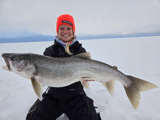 Lake Trout
