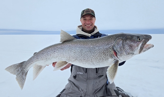 Lake Trout
