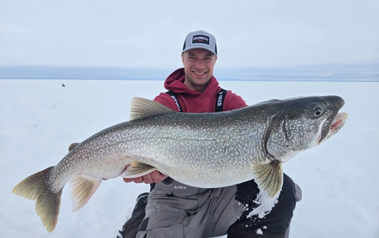 Lake Trout