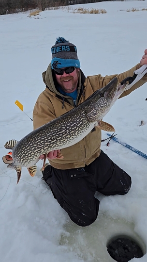 Northern Pike