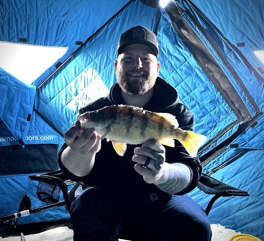 Yellow Perch