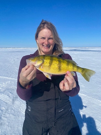 Yellow Perch