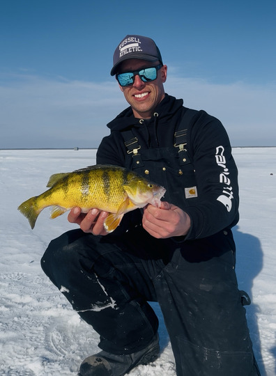 Yellow Perch