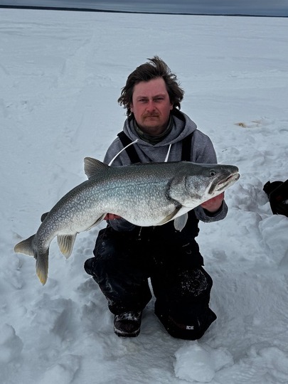 Lake Trout