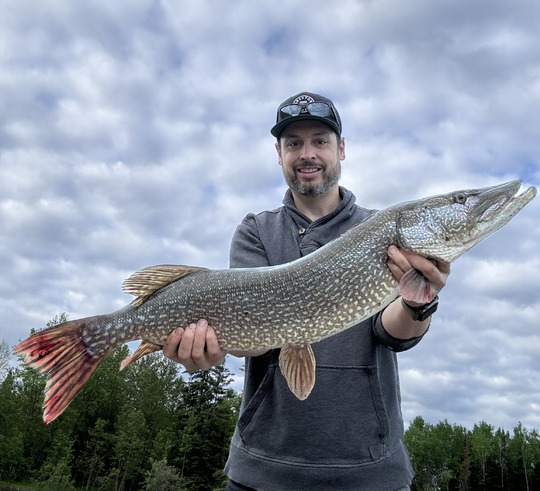 Northern Pike