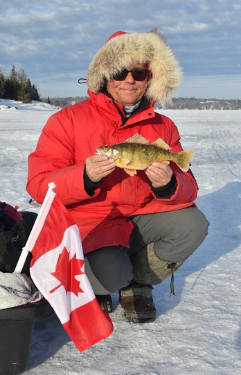 Yellow Perch