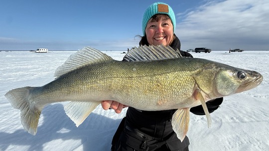 Walleye
