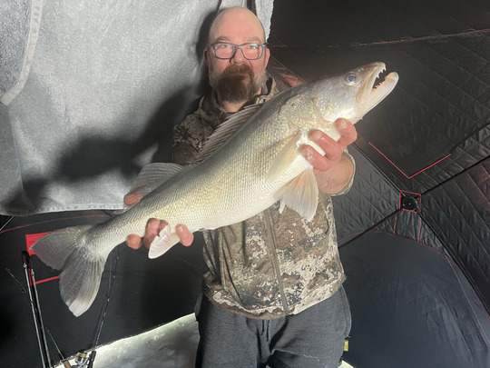 Walleye