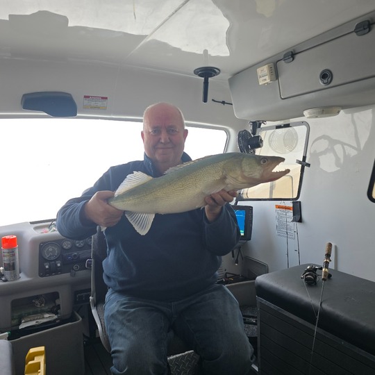 Walleye