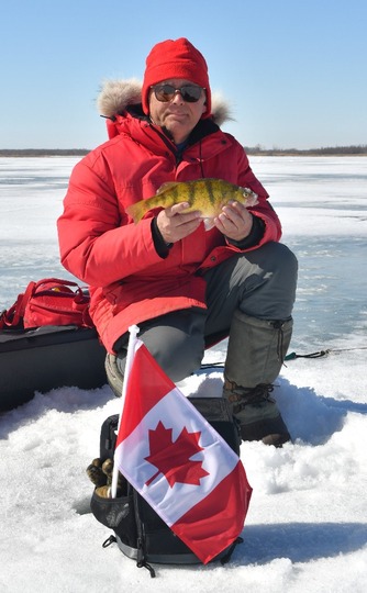 Yellow Perch