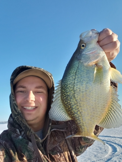 Black Crappie