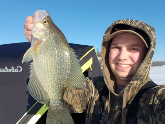 Black Crappie
