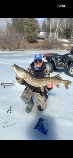 Northern Pike