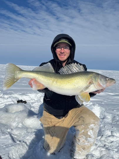 Walleye