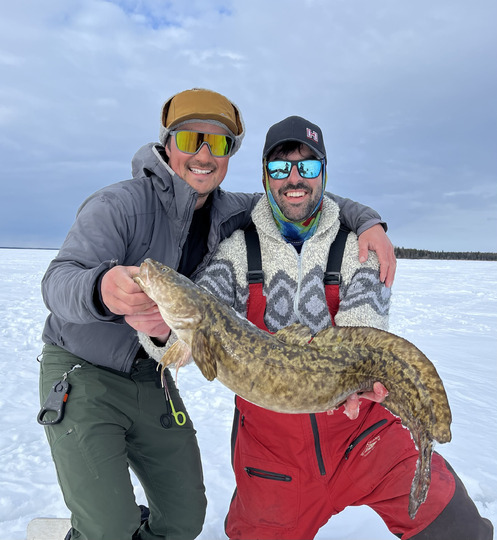 Burbot