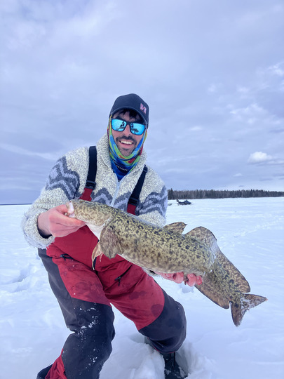 Burbot